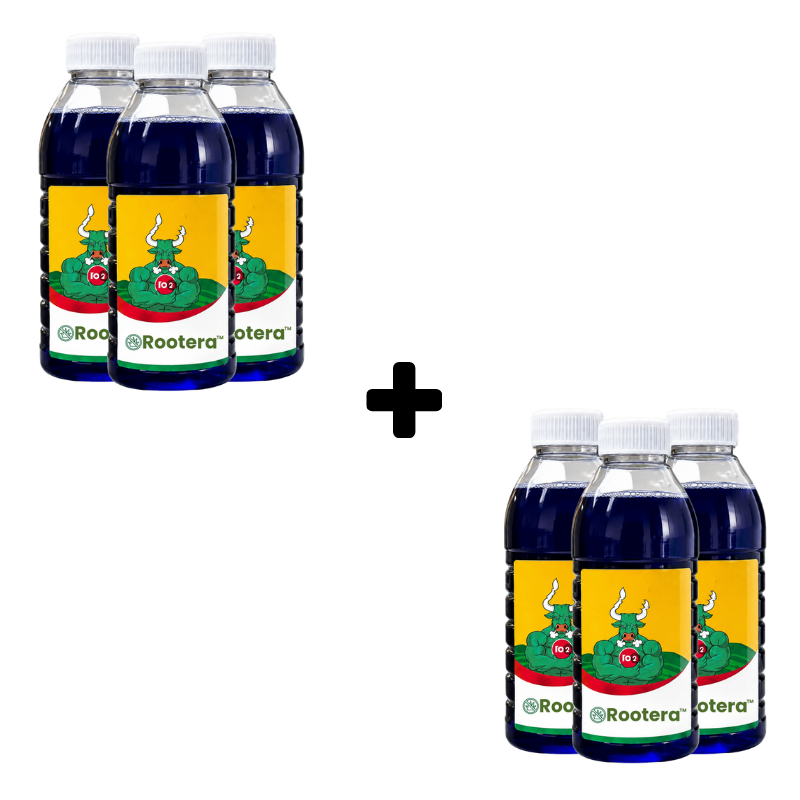 Rootera™