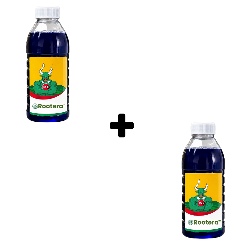 Rootera™