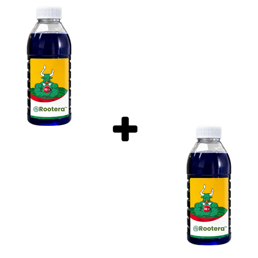 Rootera™